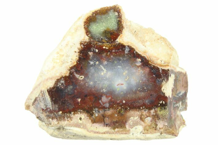 Polished Colorful Agate Section - Java, Indonesia #271519